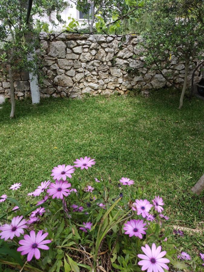 Altin Skrapari Guesthouse คซามิล ภายนอก รูปภาพ