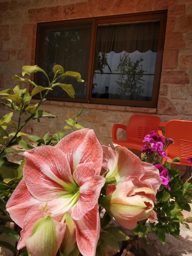 Altin Skrapari Guesthouse คซามิล ภายนอก รูปภาพ