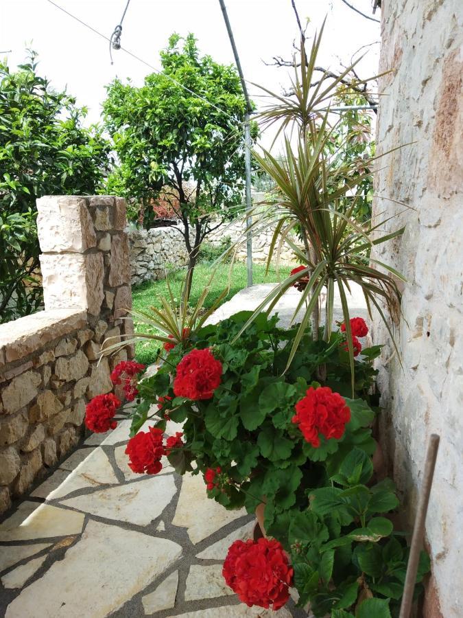 Altin Skrapari Guesthouse คซามิล ภายนอก รูปภาพ