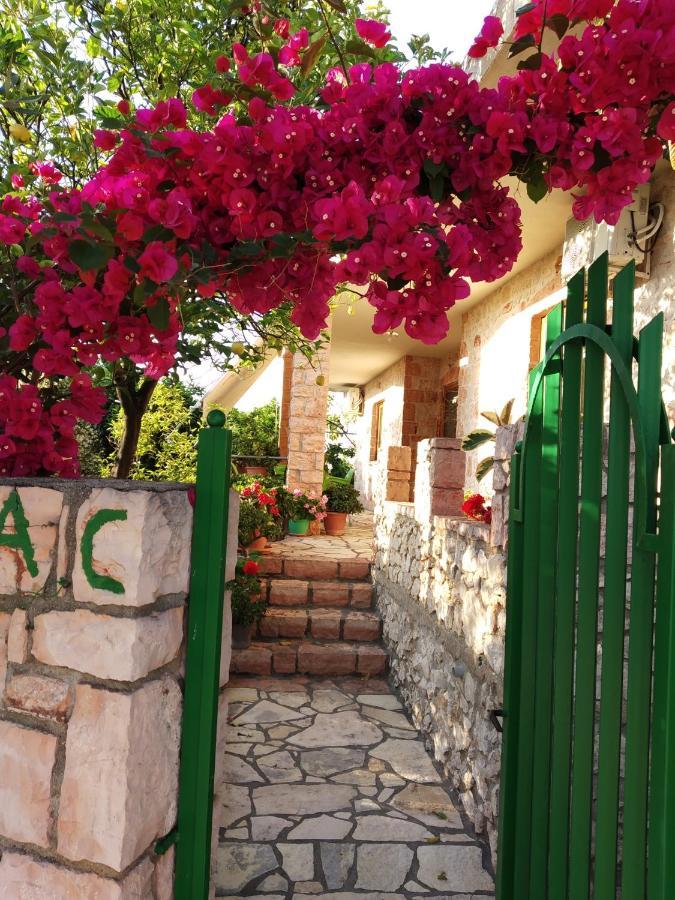 Altin Skrapari Guesthouse คซามิล ภายนอก รูปภาพ