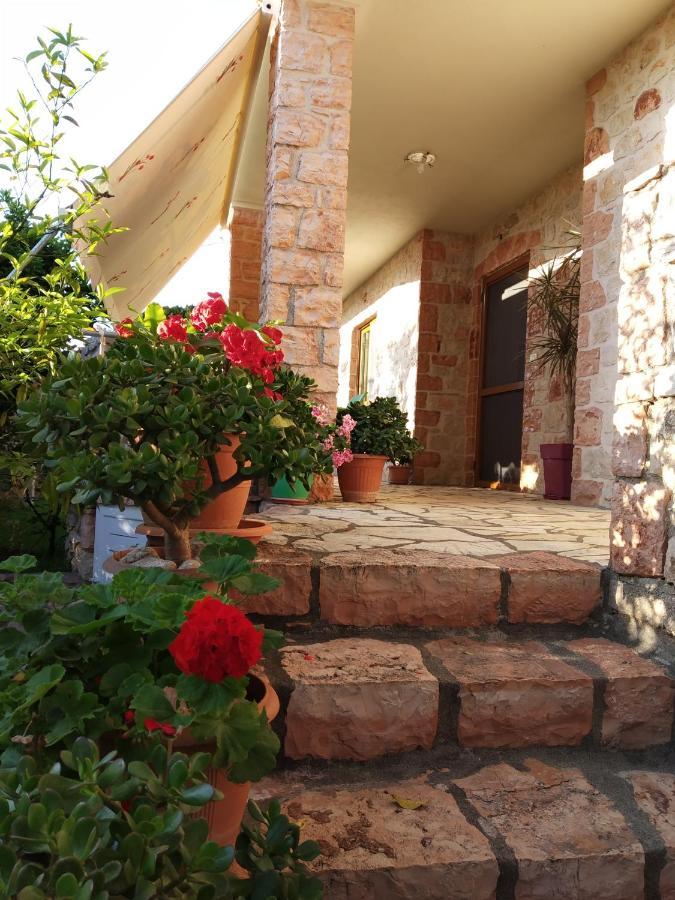 Altin Skrapari Guesthouse คซามิล ภายนอก รูปภาพ